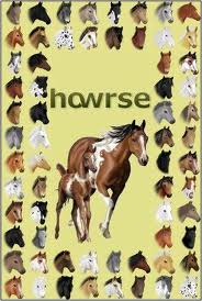 howrse 57